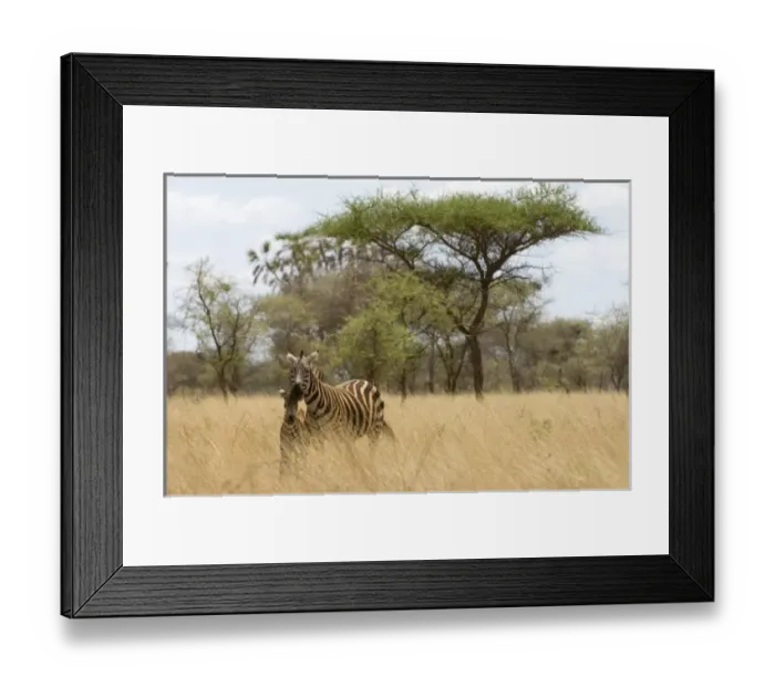 Framed Print : Africa, Kenya