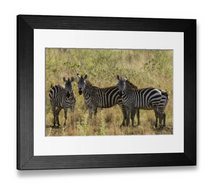 Framed Print : Africa, Kenya Framed Print : Africa, Kenya