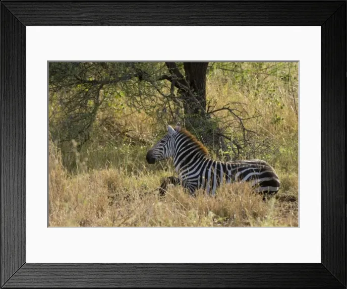 Framed Print : Africa, Kenya Framed Print : Africa, Kenya