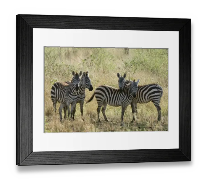 Framed Print : Africa, Kenya Framed Print : Africa, Kenya
