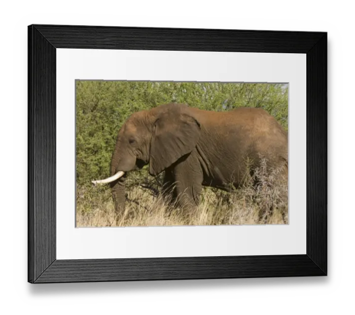 Framed Print : Africa, Kenya Framed Print : Africa, Kenya