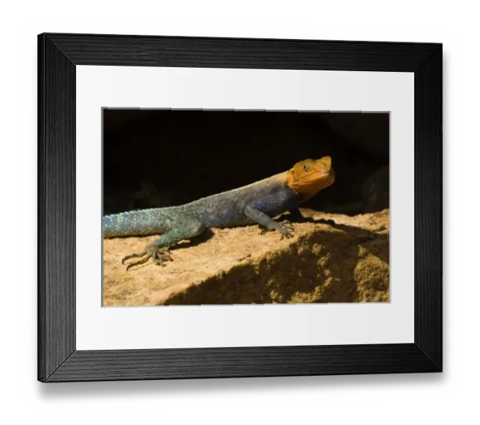 Framed Print : Africa, Kenya Framed Print : Africa, Kenya