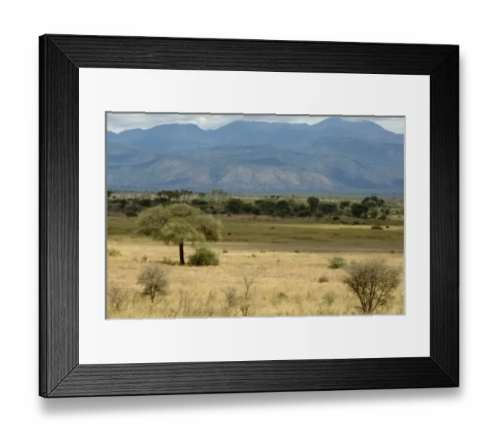 Framed Print : Africa, Kenya, a view of Meru National Park Framed Print : Africa, Kenya, a view of Meru National Park