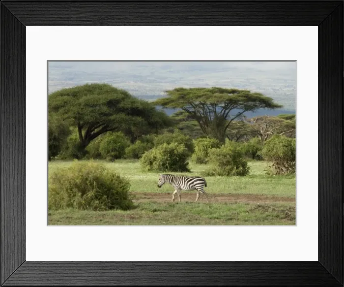 Framed Print : Africa, Kenya Framed Print : Africa, Kenya