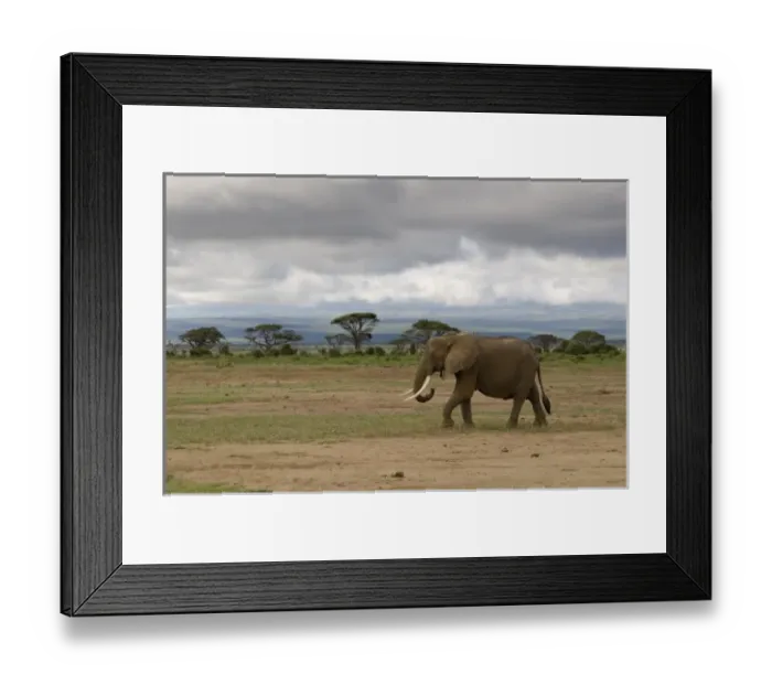 Framed Print : Africa, Kenya Framed Print : Africa, Kenya