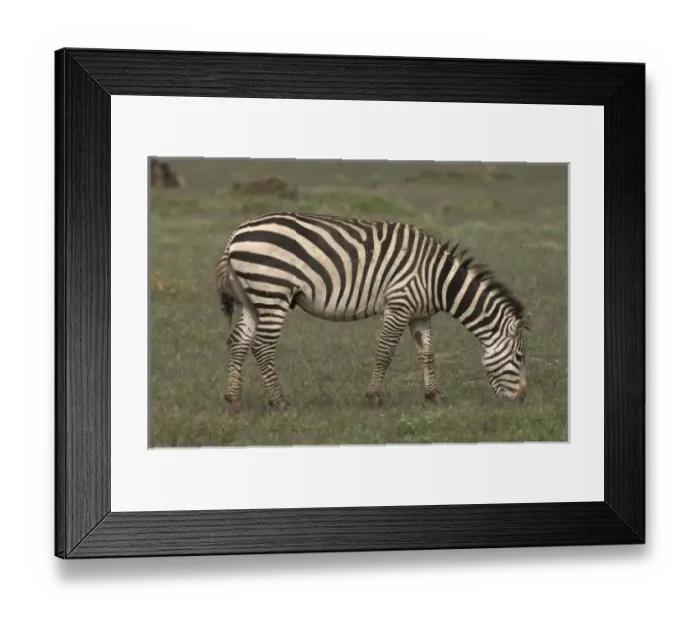 Framed Print : Africa, Kenya Framed Print : Africa, Kenya
