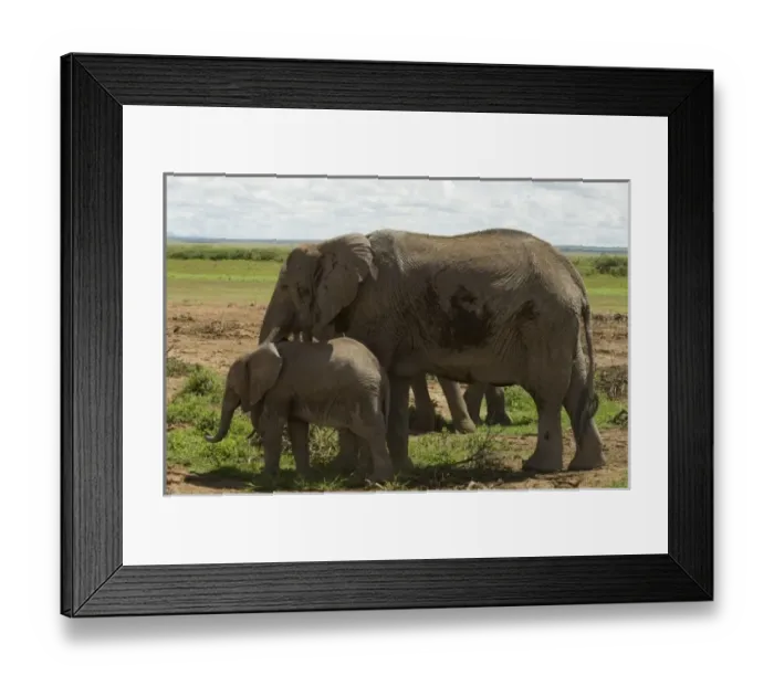 Framed Print : Africa, Kenya