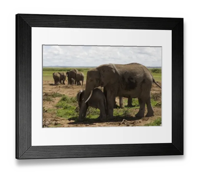 Framed Print : Africa, Kenya
