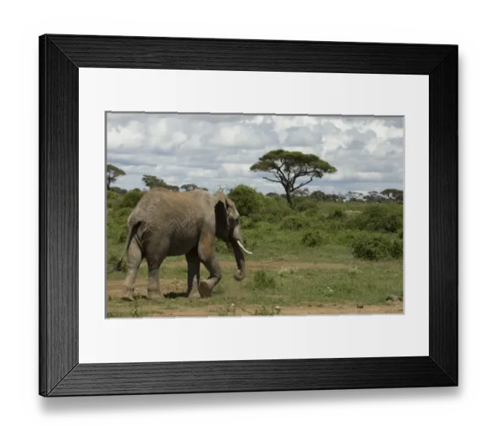 Framed Print : Africa, Kenya Framed Print : Africa, Kenya