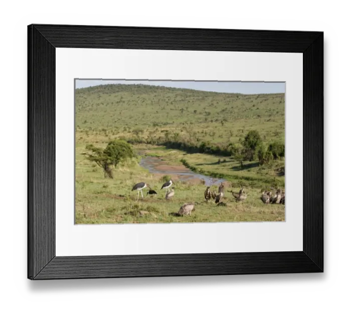 Framed Print : Africa, Kenya Framed Print : Africa, Kenya
