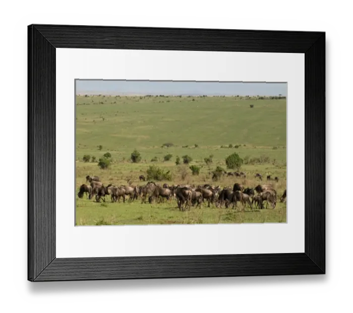 Framed Print : Africa, Kenya Framed Print : Africa, Kenya