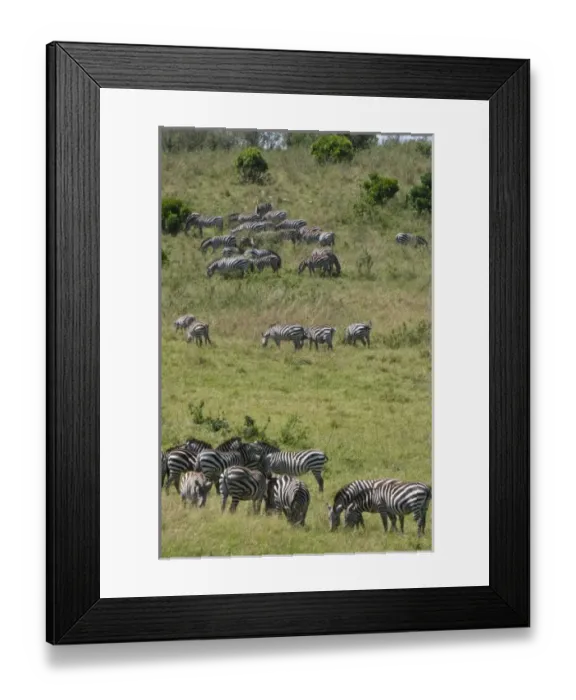 Framed Print : Africa, Kenya Framed Print : Africa, Kenya