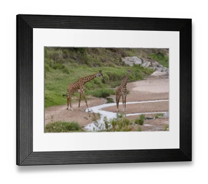 Framed Print : Africa, Kenya