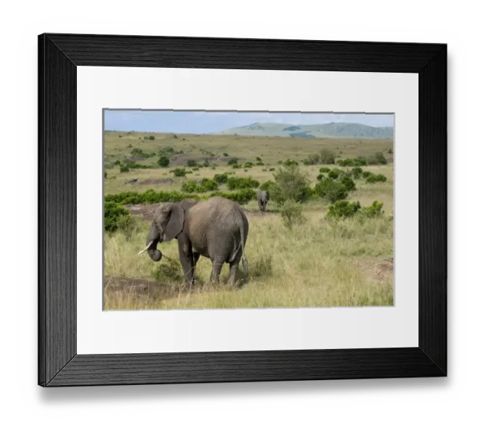Framed Print : Africa, Kenya Framed Print : Africa, Kenya