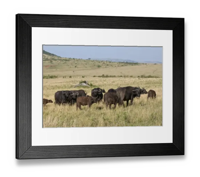 Framed Print : Africa, Kenya Framed Print : Africa, Kenya