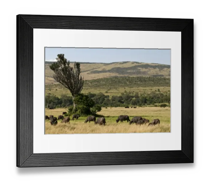 Framed Print : Africa, Kenya