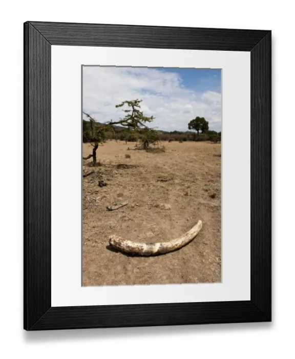 Framed Print : Africa, Kenya