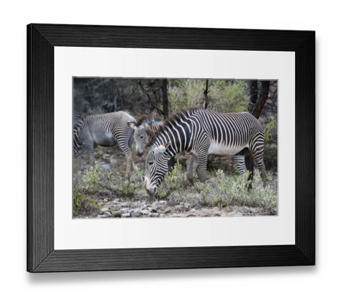 Framed Print : Africa, Kenya