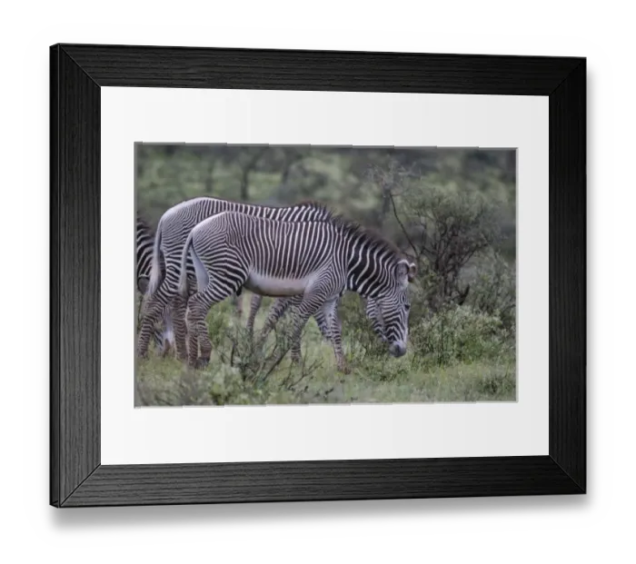 Framed Print : Africa, Kenya Framed Print : Africa, Kenya