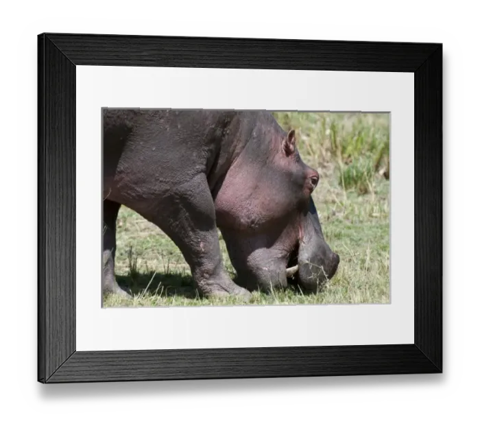 Framed Print : Africa, Kenya Framed Print : Africa, Kenya