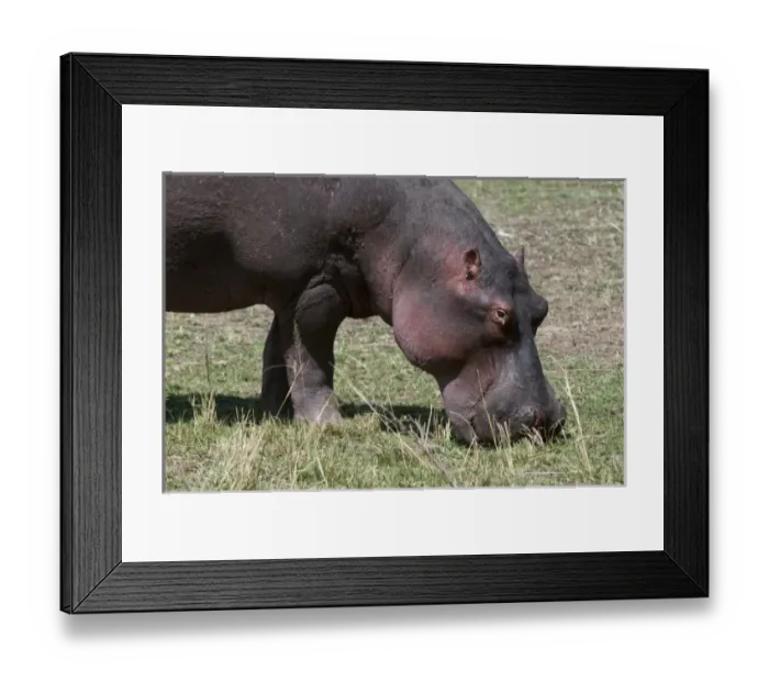Framed Print : Africa, Kenya Framed Print : Africa, Kenya