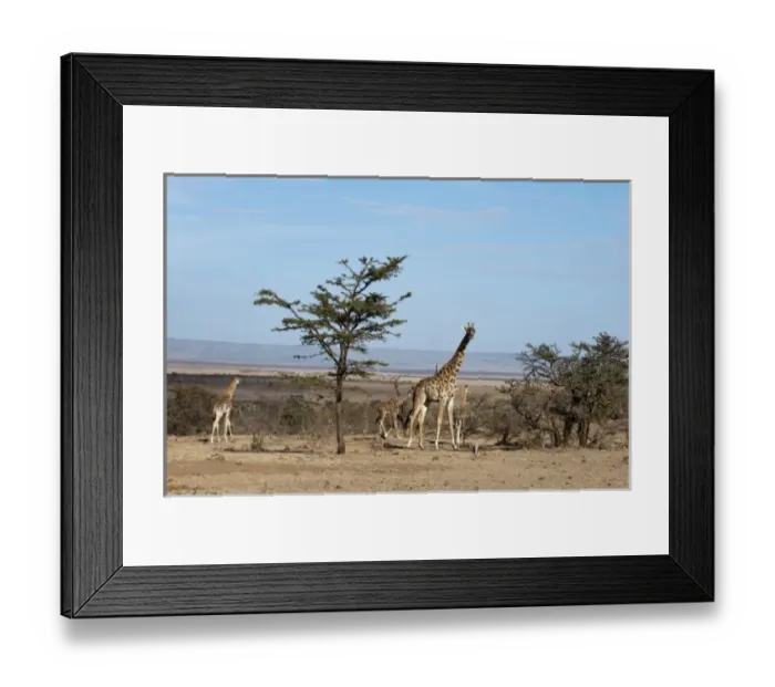 Framed Print : Africa, Kenya Framed Print : Africa, Kenya