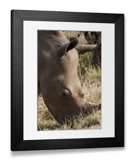 Framed Print : Africa, Kenya