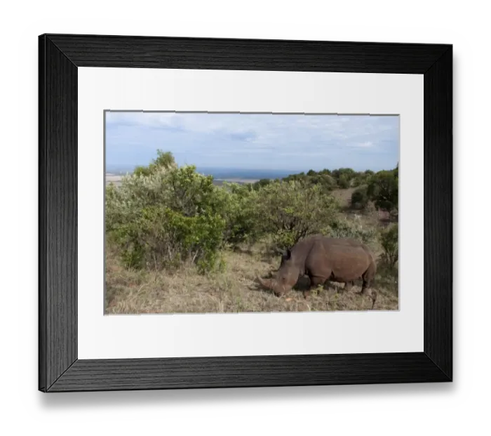 Framed Print : Africa, Kenya Framed Print : Africa, Kenya