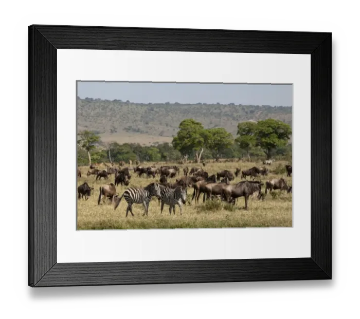 Framed Print : Africa, Kenya Framed Print : Africa, Kenya
