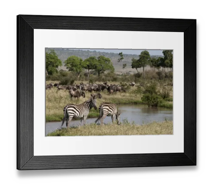 Framed Print : Africa, Kenya Framed Print : Africa, Kenya