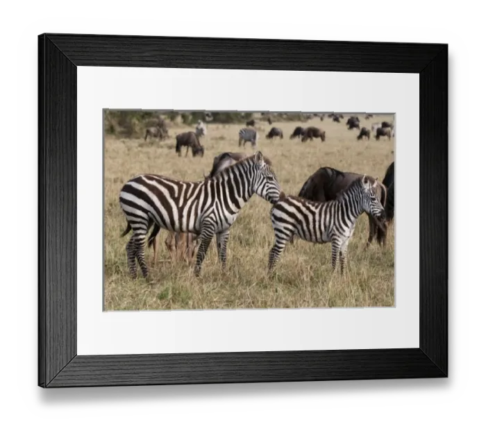 Framed Print : Africa, Kenya Framed Print : Africa, Kenya