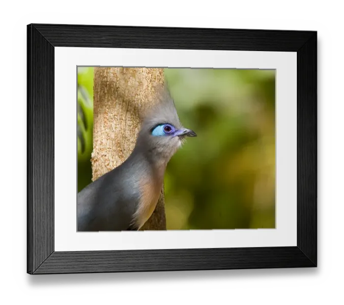 Framed Print : Africa, Madagascar