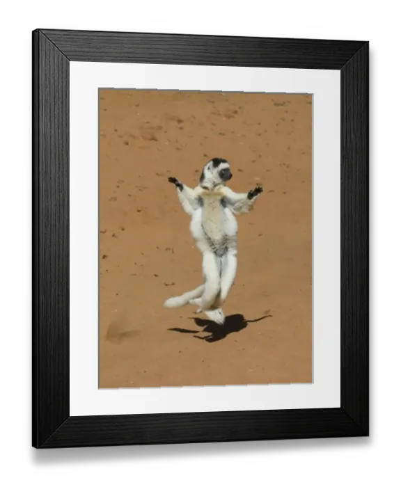 Framed Print : Africa, Madagascar Framed Print : Africa, Madagascar