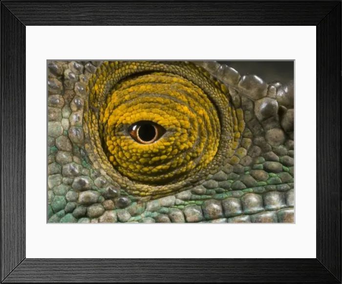 Framed Print : Africa, Madagascar