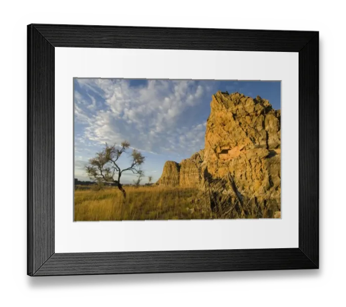 Framed Print : Africa, Madagascar Framed Print : Africa, Madagascar