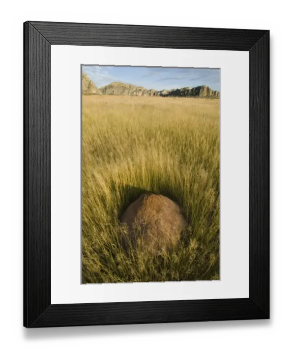 Framed Print : Africa, Madagascar