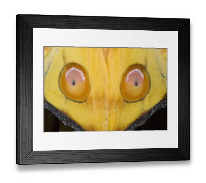 Framed Print : Africa, Madagascar Framed Print : Africa, Madagascar