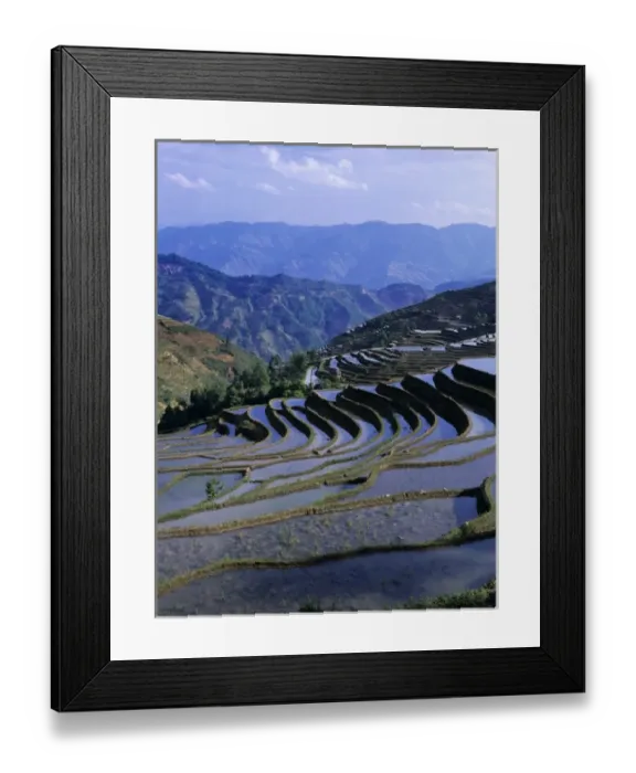 Framed Print : Asia, China, Yunnan, Yuanyang. Rugged mountainside covered with flooded rice terraces Framed Print : Asia, China, Yunnan, Yuanyang. Rugged mountainside covered with flooded rice terraces