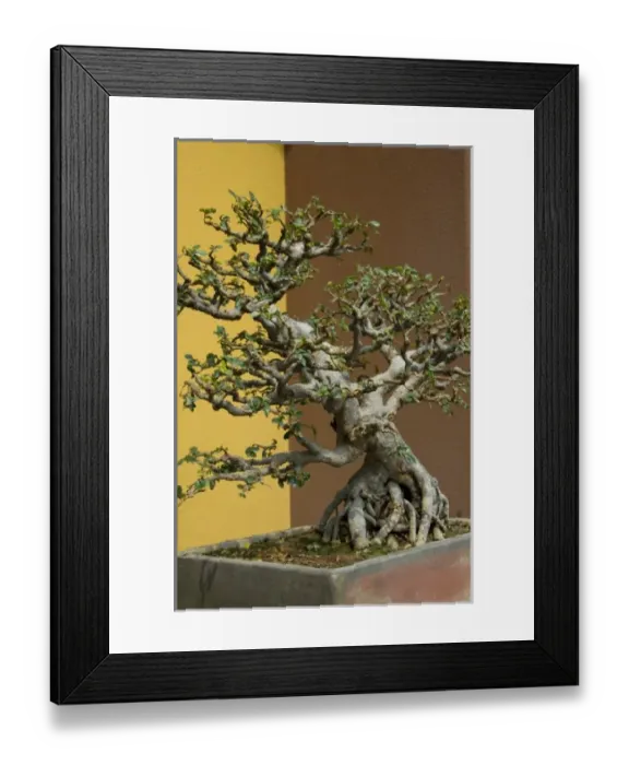 Framed Print : Asia, China Framed Print : Asia, China
