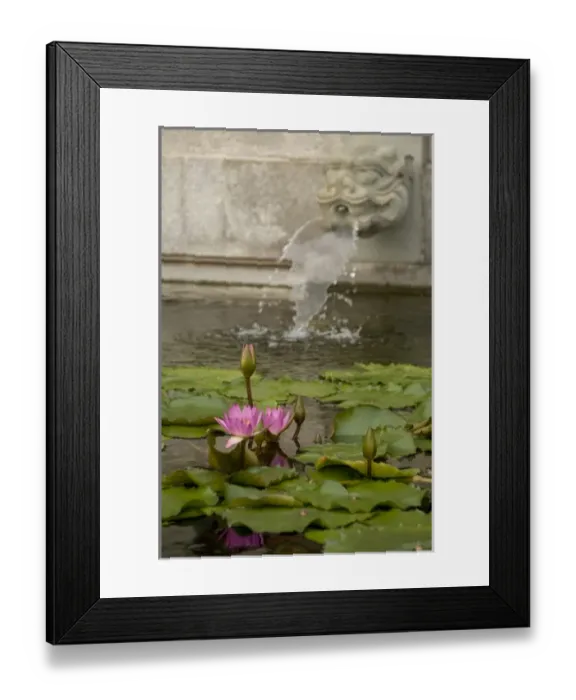 Framed Print : Asia, China