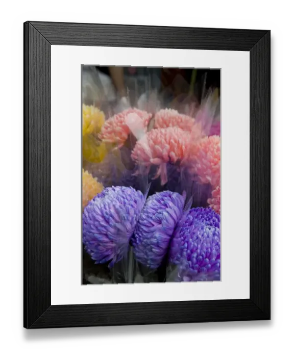 Framed Print : China, Hong Kong. Famous Prince Edward street Flower Market Framed Print : China, Hong Kong. Famous Prince Edward street Flower Market
