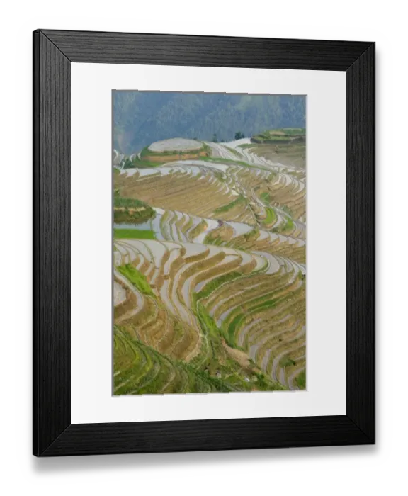 Framed Print : Asia, China