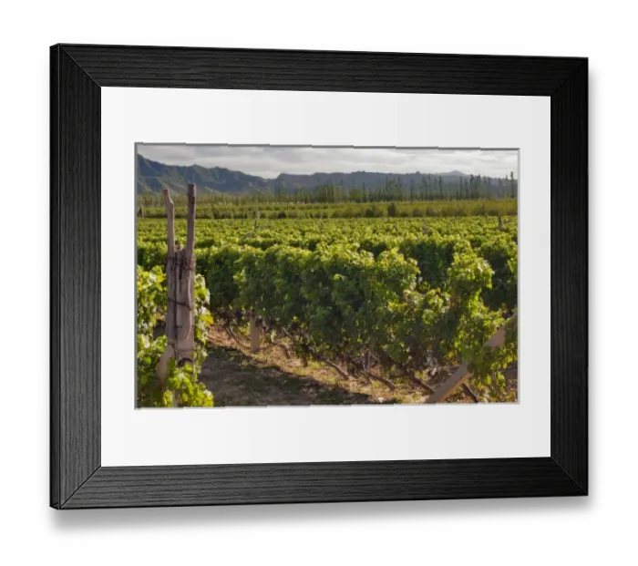 Framed Print : Asia, China Framed Print : Asia, China