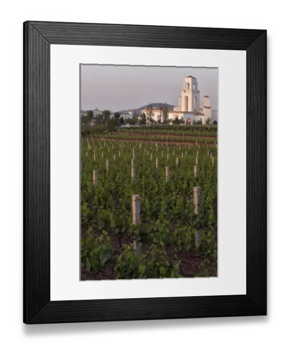 Framed Print : Vineyard and buildings of Chateau Junding winery, near Penglai, Shandong Province, China, Asia Framed Print : Vineyard and buildings of Chateau Junding winery, near Penglai, Shandong Province, China, Asia