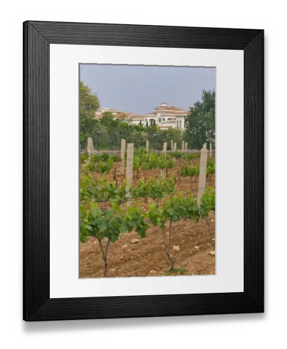 Framed Print : Junding winery, near Penglai, Shandong Province, China, Asia