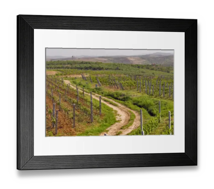 Framed Print : Asia, China