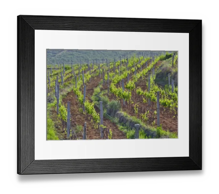 Framed Print : Asia, China