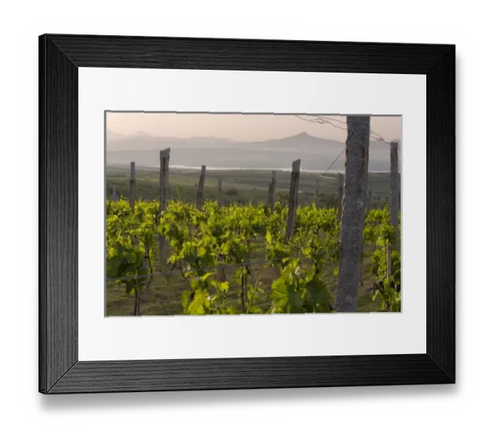 Framed Print : Asia, China