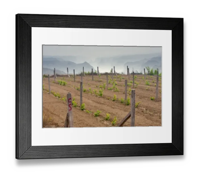 Framed Print : Asia, China