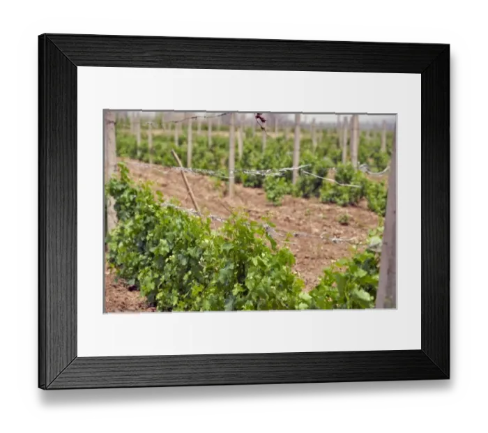 Framed Print : Asia, China